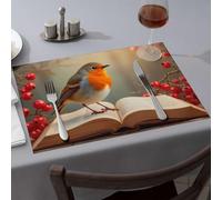 Decorative Plates Robin On An Open Book With Berries Dining Place Mats Comedor Premium Kitchen & Dining(4PCS)
