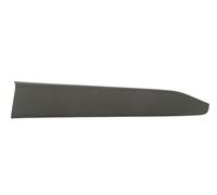 Decorative Protection Strip Door Front Right For: TOYOTA C-HR 10.16-04.19