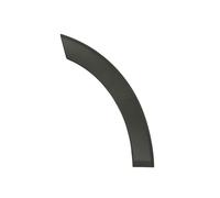 Decorative Protection Strip Front Left Door For: FORD TRANSIT VI 08.13-08.18