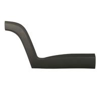 Decorative Protection Strip Rear Right Door For: JEEP RENEGADE 07.14-06.18
