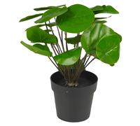 Decorative Realistic Artificial Pilea Plant In Pot Fake Leaves Decor