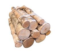 Decorative Round Kiln Dried Silver Birch Logs 35cm, 10 Log Bundle, Mixed Diameters, Home Décor, Christmas Decorations, Arts and Crafts, Fine Sawn Ends, Hardwood, 100% Natural, Rustic Bark