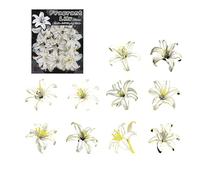 Decorative Stickers for Scrapbooking Journals and Letters Planner Stickers for Card Making and Art