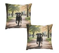 Decorative Throw Pillow Covers Set of 2 Breathable Couch Pillow Covers Black Lab Dog Throw Pillows Case Square Soft Cushion Cover Pillowcases 22 "x22 Hidden Zipper