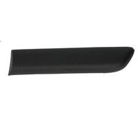 Decorative trim BLIC 5703-04-2023461P for FIAT PUNTO (188_) 1.3 2003-2012