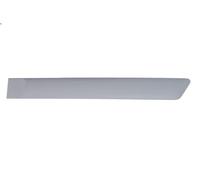 Decorative Trim Rear Left Fits: FORD FIESTA V 03.05-06.08