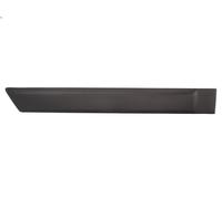 Decorative trim BLIC 5703-04-2576574PP for FORD FUSION (JU_) 1.4 2002-2012
