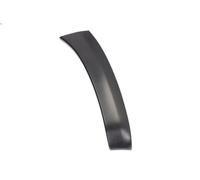 Decorative trim BLIC 5703-08-8179378P for TOYOTA RAV 4 III (_A3_) 2 2008-2013