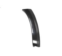Decorative trim BLIC 5703-08-8179380P for TOYOTA RAV 4 III (_A3_) 2 2008-2013