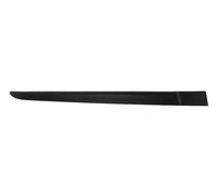 Decorative Trim Door Rear Right For: RENAULT CLIO III Ph I 5D 05.05-05.09