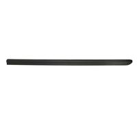 Decorative Trim Front Left Door Fits: FIAT DOBLO I 03.01-12.05