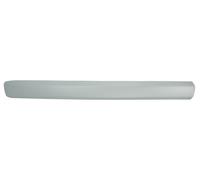 Decorative Trim Front Left Door Fits: FIAT DOBLO I 05/11-10/01