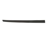 Decorative Trim Front Left Door Fits: FORD FIESTA V 5D 03.05-06.08