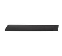 Decorative Trim Rear Left Door Fits: FORD FIESTA V 03.05-06.08
