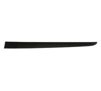 Decorative Trim Rear Left Door For: RENAULT CLIO III Ph I 5D 05.05-05.09