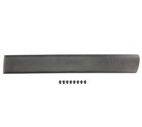 Decorative Trim Rear Left Fits: CITROEN BERLINGO 07.96-10.08