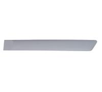 Decorative Trim Rear Left Fits: FORD FIESTA V 03.05-06.08