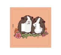 Decorator Double Toggle Light Switch Covers Two guinea pigs hanging out Wall Plate 2-Gang Mid Size 5" x 4.9" Double Toggle Switch Wallplate Decorative 2 Gang Wall Switch Plate Covers