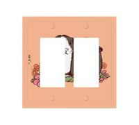 Decorator Double Toggle Light Switch Covers Two guinea pigs hanging out Wall Plate 2-Gang Mid Size 5" x 4.9" Double Toggle Switch Wallplate Decorative 2 Gang Wall Switch Plate Covers
