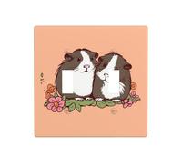 Decorator Double Toggle Light Switch Covers Two guinea pigs hanging out Wall Plate 2-Gang Standard Size 4.5" x 4.5" Double Toggle Switch Wallplate Decorative 2 Gang Wall Switch Plate Covers