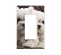 Decorator Light Switch Covers 1 Gang Wall Plate Single Gang Receptacle Outlet Covers Cute Maltese Puppy Wallplates for Electrical Outlets Plug Cover Standard Size Switch Plates Socket Cover