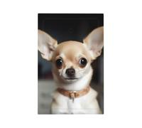Decorator Wall Plate 1 Gang Light Switch Covers cute chihuahua Wallplate Single Toggle Switch Plate Mid Size 5" x 3" Electrical Outlet Covers Decorative Wall Switch Plate Cover Decor
