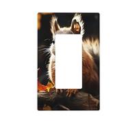 Decorator Wall Plate 1 Gang Light Switch Covers Decorator Receptacle Outlet Covers Squirrel in the Woods Wall Plates for Electrical Outlets Plug Cover Single Rocker Switch Plates