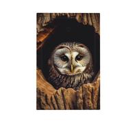 Decorator Wall Plate 1 Gang Light Switch Covers Owl tree hole Wallplate Single Toggle Switch Plate Mid Size 5" x 3" Electrical Outlet Covers Decorative Wall Switch Plate Cover Decor