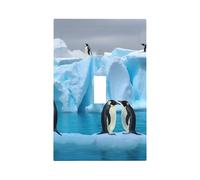 Decorator Wall Plate 1 Gang Light Switch Covers Penguins On The Iceberg Wallplate Single Toggle Switch Plate Mid Size 5" x 3" Electrical Outlet Covers Decorative Wall Switch Plate Cover Decor