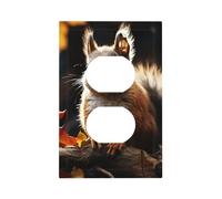 Decorator Wall Plate 1 Gang Light Switch Covers Squirrel in the Woods Wallplate Single Toggle Switch Plate Mid Size 5" x 3" Electrical Outlet Covers Decorative Wall Switch Plate Cover Decor