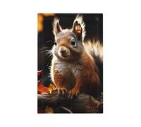 Decorator Wall Plate 1 Gang Light Switch Covers Squirrel in the Woods Wallplate Single Toggle Switch Plate Mid Size 5" x 3" Electrical Outlet Covers Decorative Wall Switch Plate Cover Decor