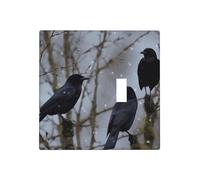 Decorator Wall Plate 2 Gang Light Switch Covers Black Crow Birds Wallplate Double Toggle Switch Plate Standard Size Electrical Outlet Covers Decorative Wall Switch Plate Cover