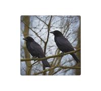 Decorator Wall Plate 2 Gang Light Switch Covers Black Crow Birds Wallplate Double Toggle Switch Plate Standard Size Electrical Outlet Covers Decorative Wall Switch Plate Cover