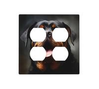Decorator Wall Plate 2 Gang Light Switch Covers Cool Rottweiler Dog Art Wallplate Double Toggle Switch Plate Mid-size Electrical Outlet Covers Decorative Wall Switch Plate Cover