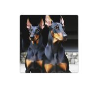 Decorator Wall Plate 2 Gang Light Switch Covers doberman Wallplate Double Toggle Switch Plate Standard Size Electrical Outlet Covers Decorative Wall Switch Plate Cover