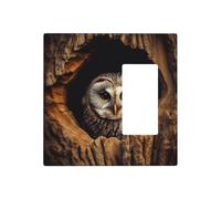 Decorator Wall Plate 2 Gang Light Switch Covers Owl tree hole Wallplate Double Toggle Switch Plate Mid-size Electrical Outlet Covers Decorative Wall Switch Plate Cover