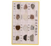DECORNIJIA 12 pcs Mineral Rock Specimen Kit for Geology Classroom and Laboratory Educational Display with Diverse Geological Samples Essential Teaching Tool for Field Tests and Collection