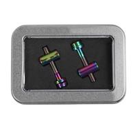 DECORNIJIA 2 Pcs Titanium Alloy Bike Seatpost Screws M5x30mm Seat Tube Bolts for Saddle Fixing Durable Bicycle Seatpost Fixed Screws Rainbow Color