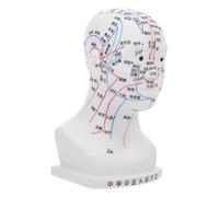 DECORNIJIA 20cm Human Head Acupoint Model Four Functions, White Small Facial Massage Acupuncture Teaching Model for Traditional Chinese Medicine Therapy and Head Meridian Treatment