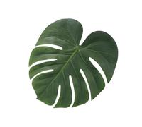 DECORNIJIA 30PCS Simulated Monstera Turtle Leaves Green Artificial Leaves Decoration for Home Indoor Plants Crafting DIY Tropical Style Living Bedroom Office Supplies