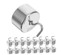 DECORNIJIA 50pcs Chrome Plated Laboratory Hook Weights Set Each Double Hooked Physics Weights Kit for Teaching Science Experiments Clearly Marked for Easy Identification