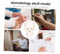 DECORNIJIA Ergonomic Plastic Human Skull Model for Medical Teaching Anatomical Head Skeleton Sculpture for Professional Study and School Visual Aid Creative Skull Decor