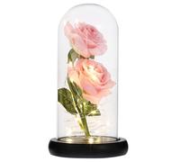 DECORNIJIA Eternal Rose LED Light with Glass Shade, Romantic Valentine's Day Night Lamp, Pink Double Bloom on Black Base, Battery-Free Decorative Figurine Lamp for Home and Bedroom