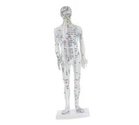 DECORNIJIA Human Body Acupuncture Model Male Mannequin with Precise Pressure Point Mapping White Material Display Model for Chinese Medicine Teaching and Practice