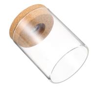 DECORNIJIA Mini Glass Ecological Bottle with LED Light Smooth Surface Microlandscape Holder for Fish Tank Flower Arrangement and Home Decor Compact and Easy to Clean