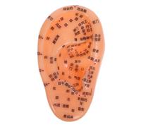 DECORNIJIA Realistic Ear Model for Reflexology Learning Acupuncture Products Medicine Anatomical Display Simulate Auricular Zone Artificial Ear Model Acupressure Kit