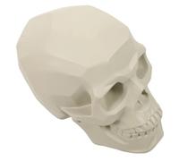 DECORNIJIA Realistic Skull Sculpture Model for Drawing Practice Compact Sketch Learning Tool for Art Students Enhances Portrait Sketching Skills and Spatial Understanding for Art Classrooms