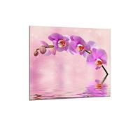decorwelt Kitchen Back Wall Splash Guard Glass 65 x 60 cm Wall Protection Stove Sink Kitchen Splash Guard Tile Protection Tile Mirror Kitchen Decorative Glass Orchid Purple