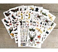 Decoupage Paper Pack [18 Sheets 20x30cm] Bugs Spiders Insects Mosquitos Moth Dragonfly Butterfly Paper for Decoupage and Craft Vintage Illustration