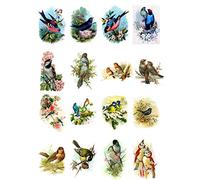 Decoupage Paper Pack (20 Sheets 10x15cm) Beautiful Birds FLONZ Vintage Paper
